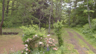 長野県菅平高原 ゆたか山荘 坂上 2026/06/08 08:15