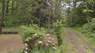 長野県菅平高原 ゆたか山荘 坂上 2026/06/08 08:30