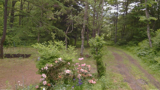 長野県菅平高原 ゆたか山荘 坂上 2026/06/08 08:45