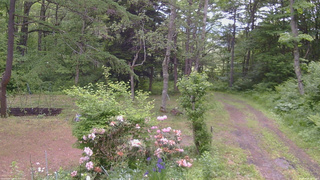 長野県菅平高原 ゆたか山荘 坂上 2026/06/08 09:15