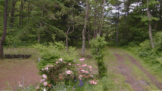 長野県菅平高原 ゆたか山荘 坂上 2026/06/08 10:30