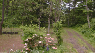 長野県菅平高原 ゆたか山荘 坂上 2026/06/08 10:45