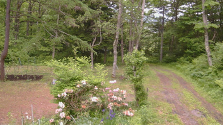 長野県菅平高原 ゆたか山荘 坂上 2026/06/08 11:00