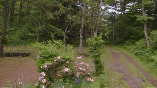 長野県菅平高原 ゆたか山荘 坂上 2026/06/08 11:15