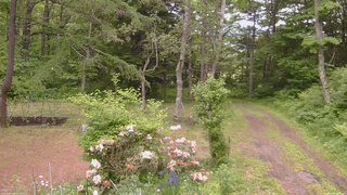 長野県菅平高原 ゆたか山荘 坂上 2026/06/08 11:30