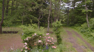 長野県菅平高原 ゆたか山荘 坂上 2026/06/08 12:00