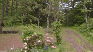 長野県菅平高原 ゆたか山荘 坂上 2026/06/08 12:45