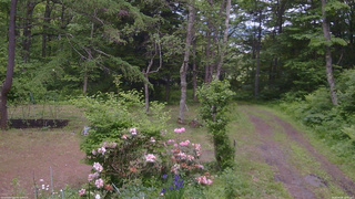 長野県菅平高原 ゆたか山荘 坂上 2026/06/08 13:30