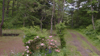 長野県菅平高原 ゆたか山荘 坂上 2026/06/08 14:15