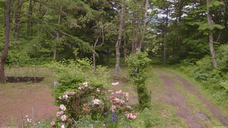 長野県菅平高原 ゆたか山荘 坂上 2026/06/08 14:45