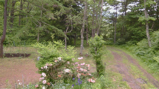 長野県菅平高原 ゆたか山荘 坂上 2026/06/08 15:30