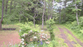 長野県菅平高原 ゆたか山荘 坂上 2026/06/08 15:45