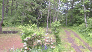 長野県菅平高原 ゆたか山荘 坂上 2026/06/08 16:00