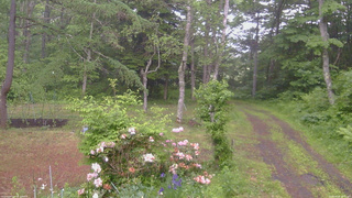 長野県菅平高原 ゆたか山荘 坂上 2026/06/08 16:45