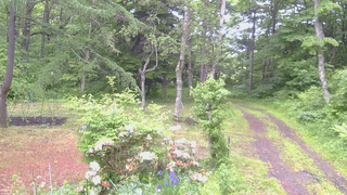 長野県菅平高原 ゆたか山荘 坂上 2026/06/08 17:00