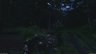 長野県菅平高原 ゆたか山荘 坂上 2026/06/08 19:00