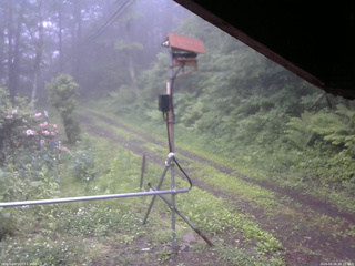 長野県菅平高原 ゆたか山荘 南側 2026/06/09 06:15