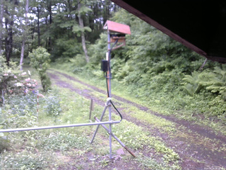 長野県菅平高原 ゆたか山荘 南側 2026/06/09 08:45