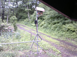 長野県菅平高原 ゆたか山荘 南側 2026/06/09 09:45