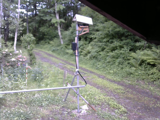 長野県菅平高原 ゆたか山荘 南側 2026/06/09 15:15