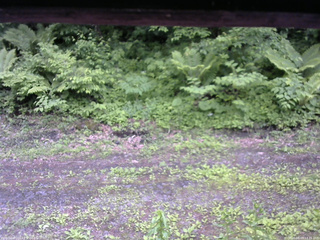 長野県菅平高原 ゆたか山荘 東側(坂下) 2026/06/09 13:15