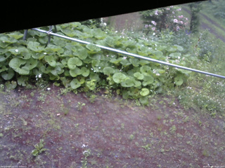 長野県菅平高原 ゆたか山荘 駐車場 2026/06/09 05:45