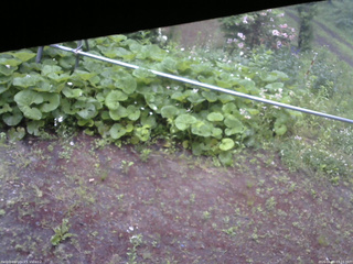 長野県菅平高原 ゆたか山荘 駐車場 2026/06/09 07:15