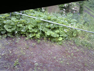 長野県菅平高原 ゆたか山荘 駐車場 2026/06/09 07:30