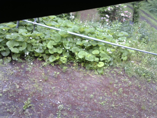 長野県菅平高原 ゆたか山荘 駐車場 2026/06/09 07:45