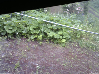 長野県菅平高原 ゆたか山荘 駐車場 2026/06/09 08:00