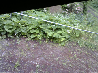 長野県菅平高原 ゆたか山荘 駐車場 2026/06/09 08:45