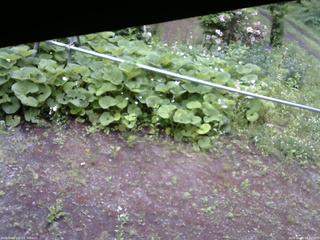 長野県菅平高原 ゆたか山荘 駐車場 2026/06/09 09:00