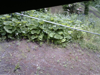 長野県菅平高原 ゆたか山荘 駐車場 2026/06/09 09:15