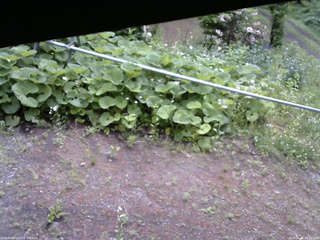 長野県菅平高原 ゆたか山荘 駐車場 2026/06/09 09:30