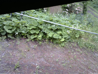 長野県菅平高原 ゆたか山荘 駐車場 2026/06/09 09:45