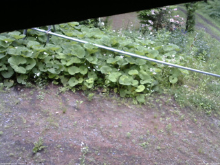 長野県菅平高原 ゆたか山荘 駐車場 2026/06/09 10:30