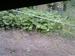 長野県菅平高原 ゆたか山荘 駐車場 2026/06/09 11:00