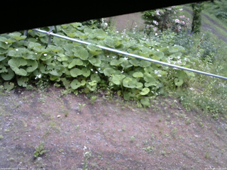 長野県菅平高原 ゆたか山荘 駐車場 2026/06/09 11:45