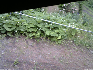 長野県菅平高原 ゆたか山荘 駐車場 2026/06/09 12:00
