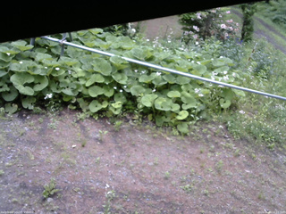 長野県菅平高原 ゆたか山荘 駐車場 2026/06/09 12:15