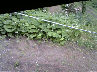 長野県菅平高原 ゆたか山荘 駐車場 2026/06/09 12:30
