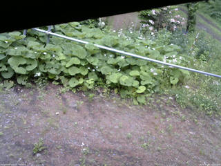 長野県菅平高原 ゆたか山荘 駐車場 2026/06/09 12:45