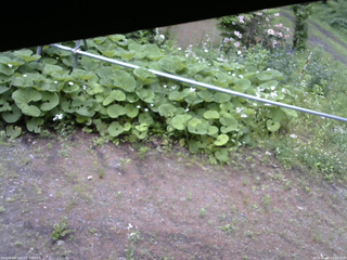 長野県菅平高原 ゆたか山荘 駐車場 2026/06/09 13:00
