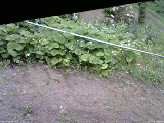 長野県菅平高原 ゆたか山荘 駐車場 2026/06/09 13:45