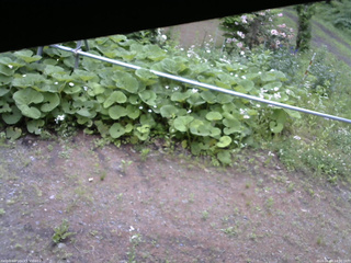 長野県菅平高原 ゆたか山荘 駐車場 2026/06/09 14:00