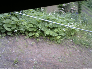 長野県菅平高原 ゆたか山荘 駐車場 2026/06/09 14:30
