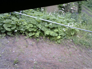 長野県菅平高原 ゆたか山荘 駐車場 2026/06/09 14:45