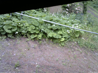長野県菅平高原 ゆたか山荘 駐車場 2026/06/09 15:30