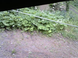 長野県菅平高原 ゆたか山荘 駐車場 2026/06/09 16:15