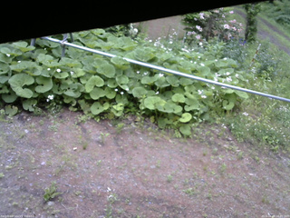 長野県菅平高原 ゆたか山荘 駐車場 2026/06/09 16:45